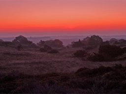 IMGP8963-Morgenstemning-over-Stanghede